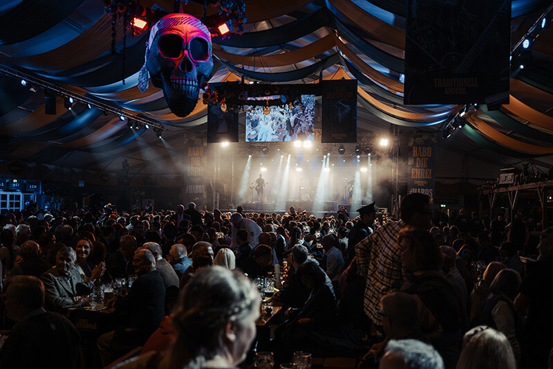 Live-Konzertaufnahme – Bandfotografie von Niklas Gerde